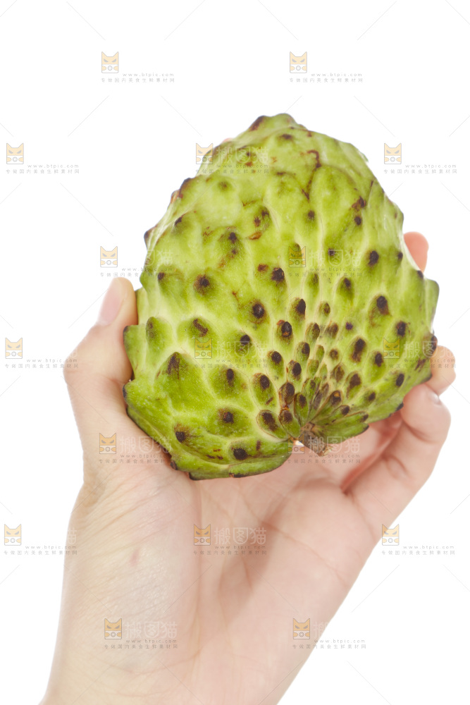 手里拿着释迦果