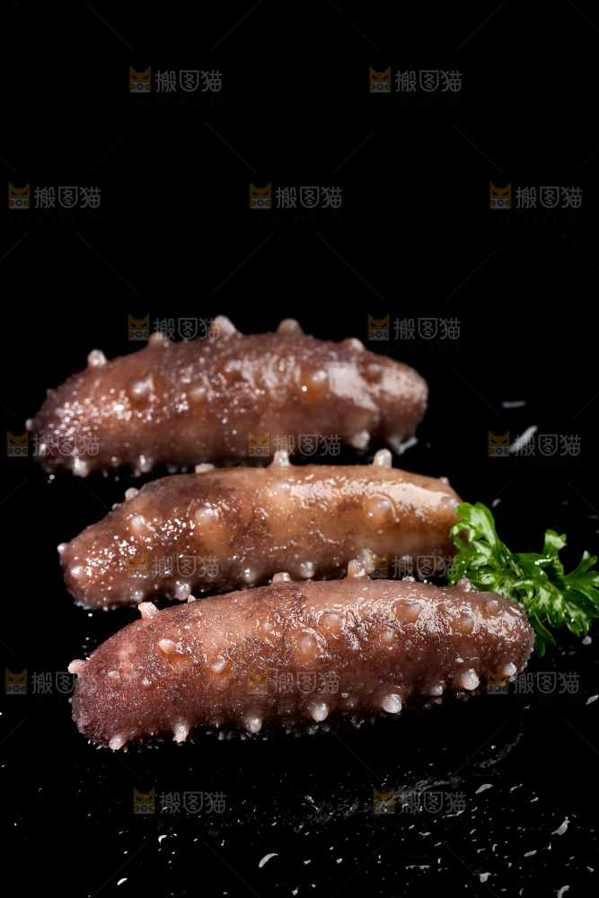 黑底上的海参