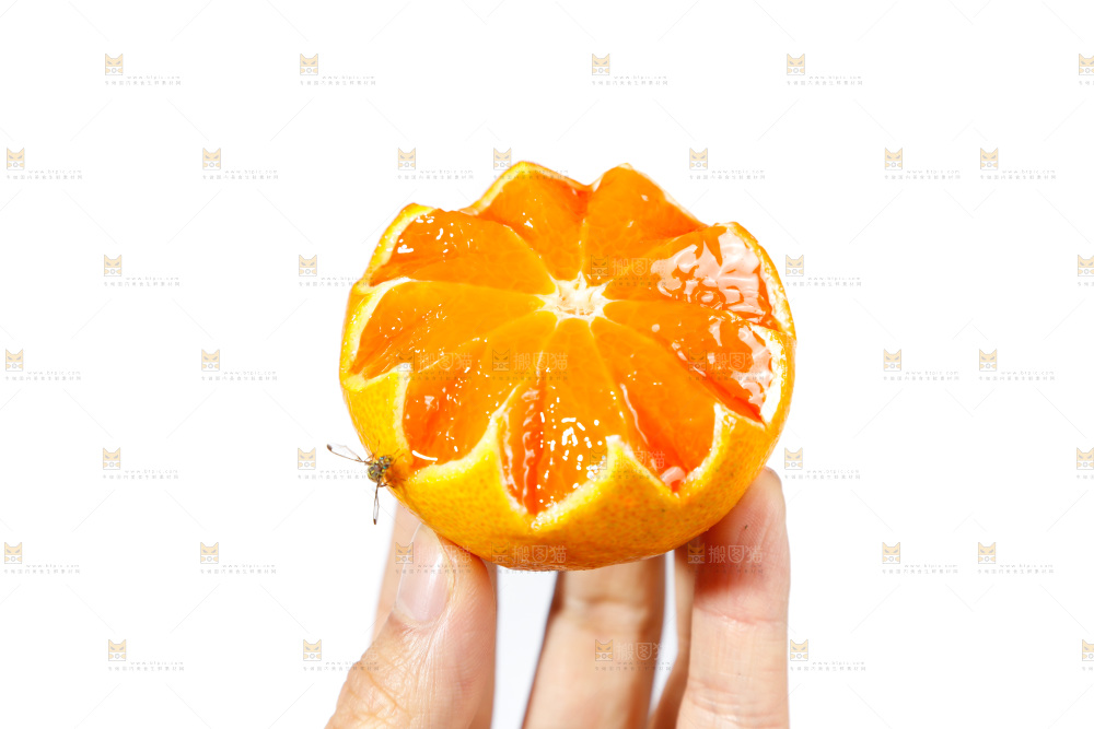 手里拿着蜜橘