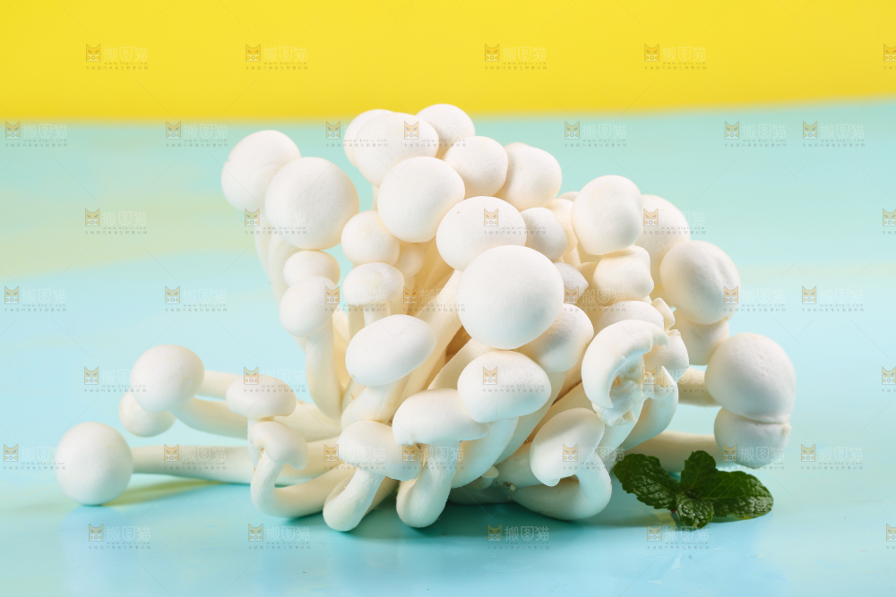 蓝底上的白玉菇