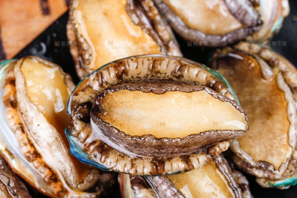 深底上放着一盘鲜鲍鱼