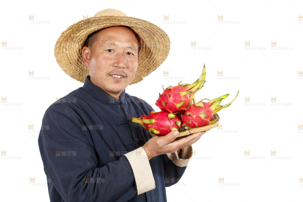 农民手里拿着火龙果