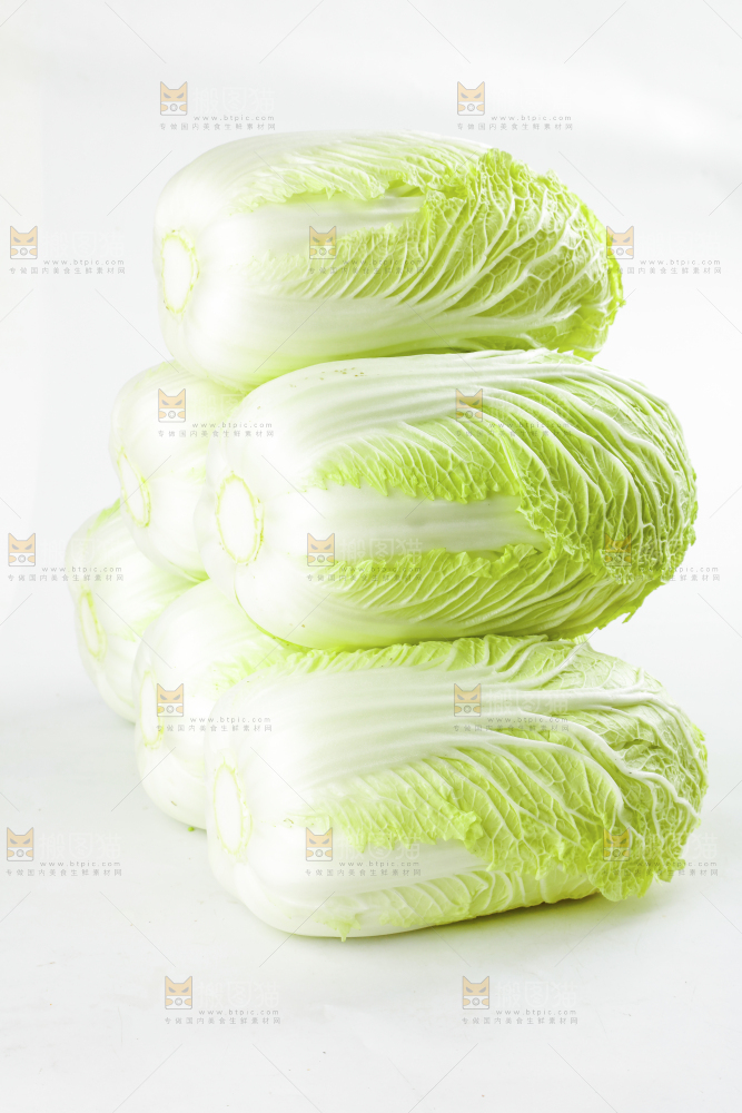 白底上的新鲜大白菜