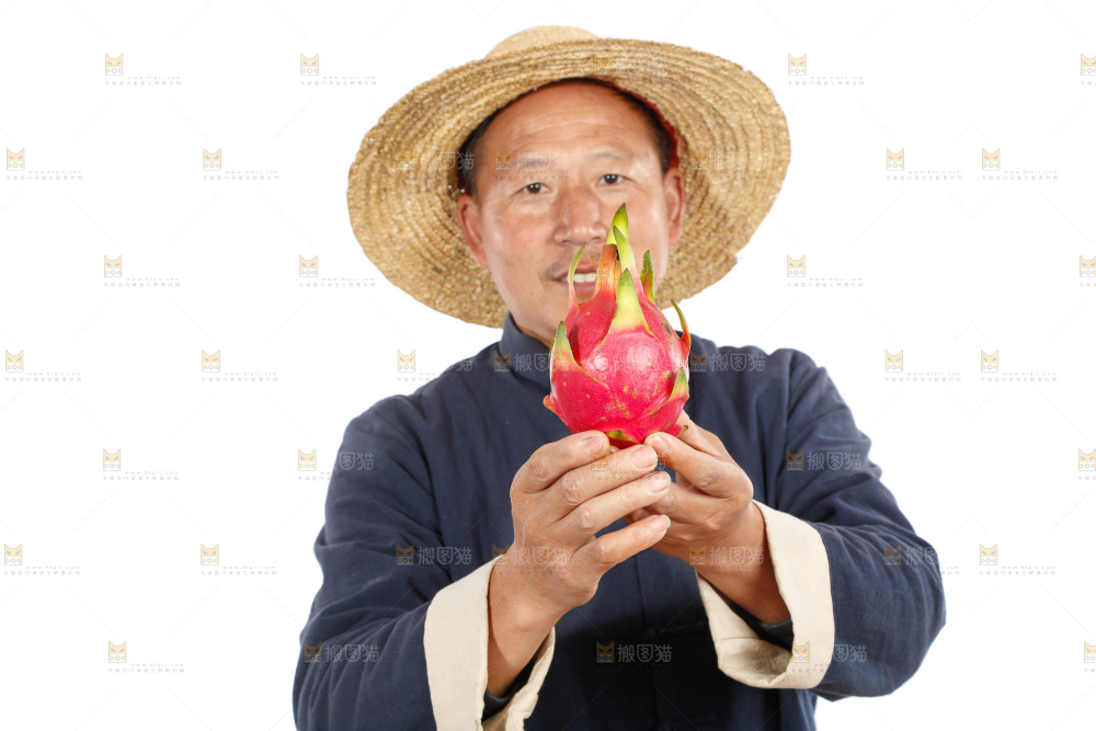 农民手里拿着火龙果