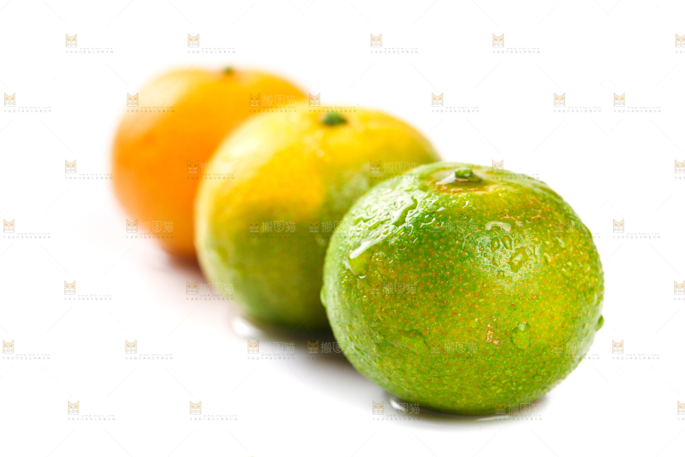 白底上的桂林清香蜜桔