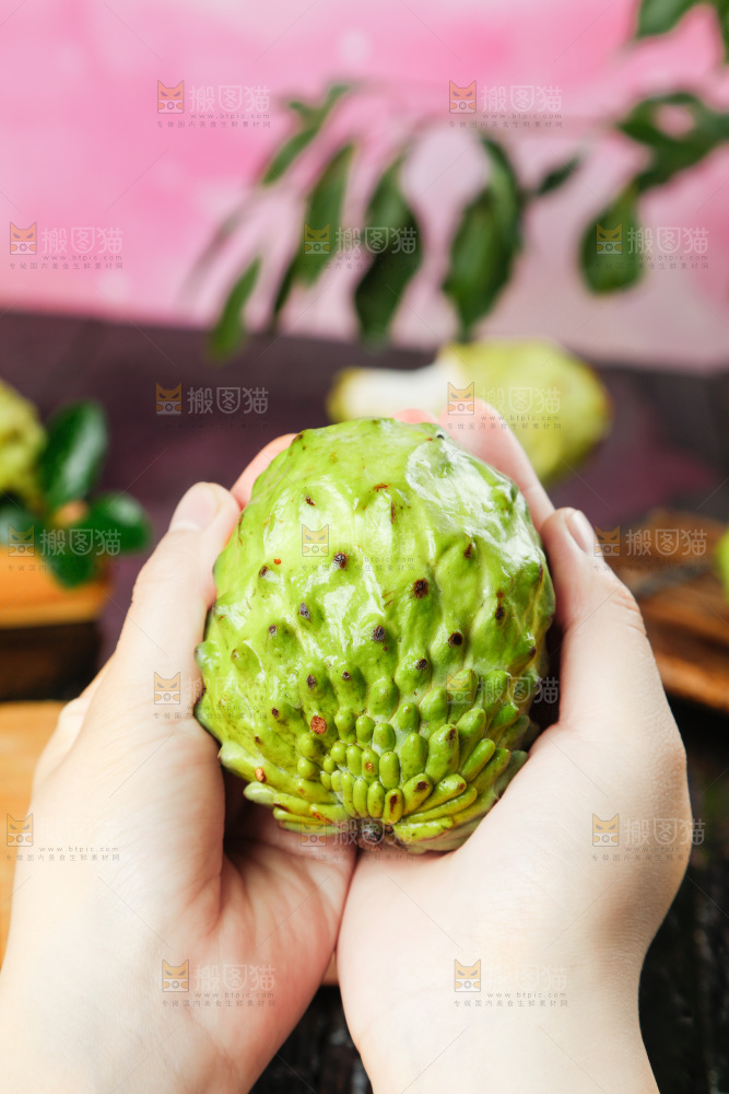 手里拿着牛奶释迦果