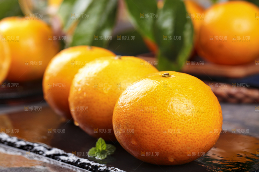黑底上的皇帝柑