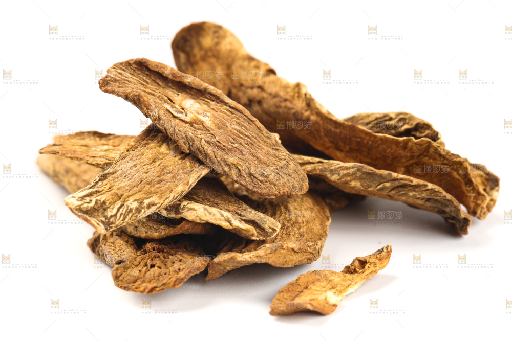 白底上摆放着牛蒡
