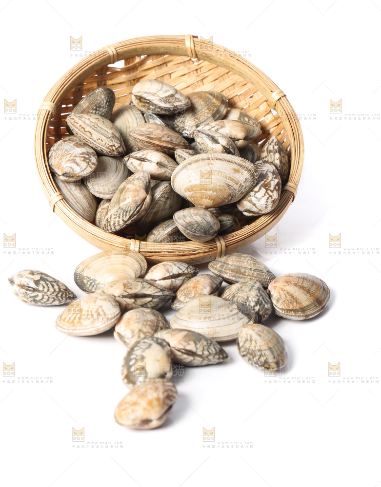 白底上的花甲