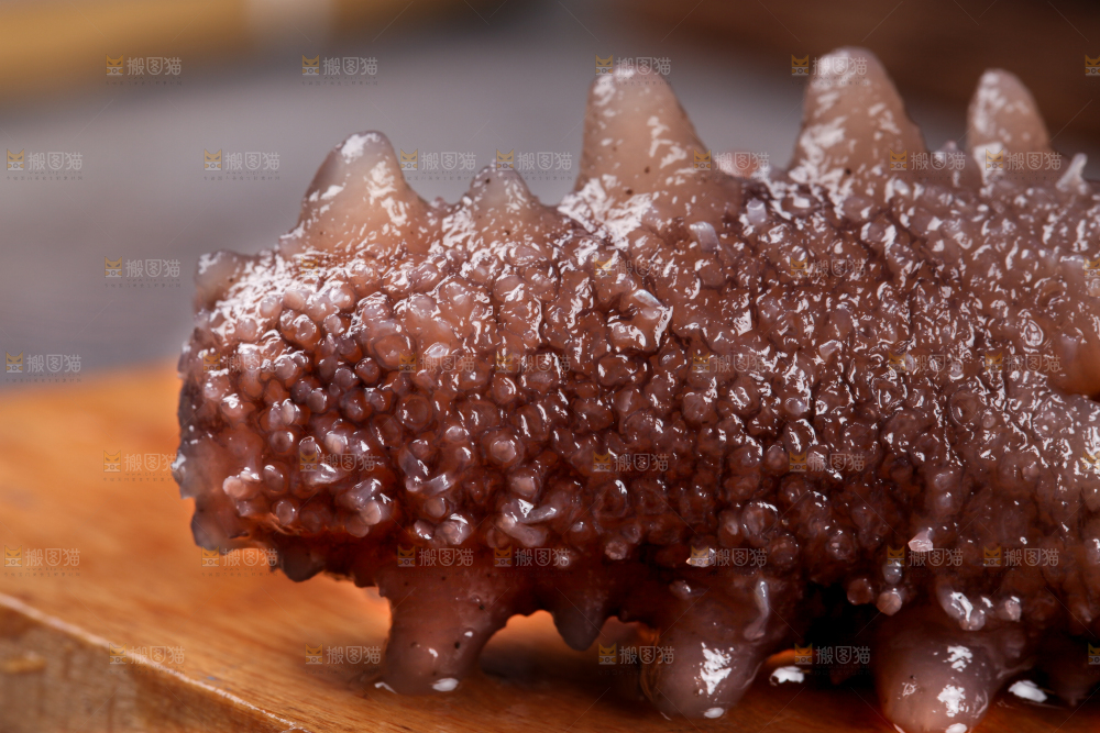 木底上的淡干海参
