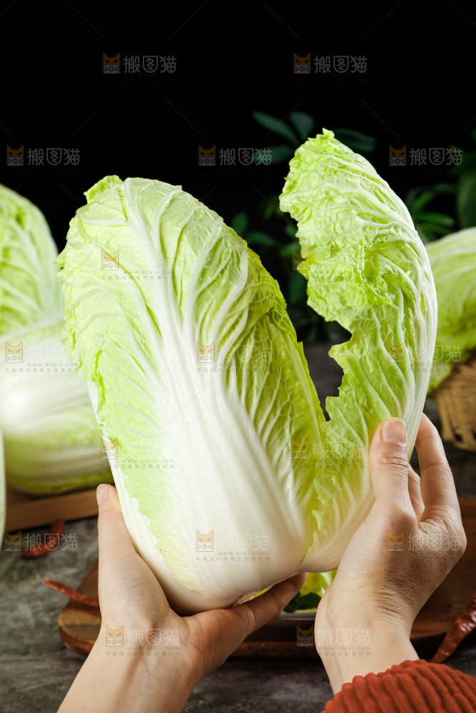 手掰大白菜