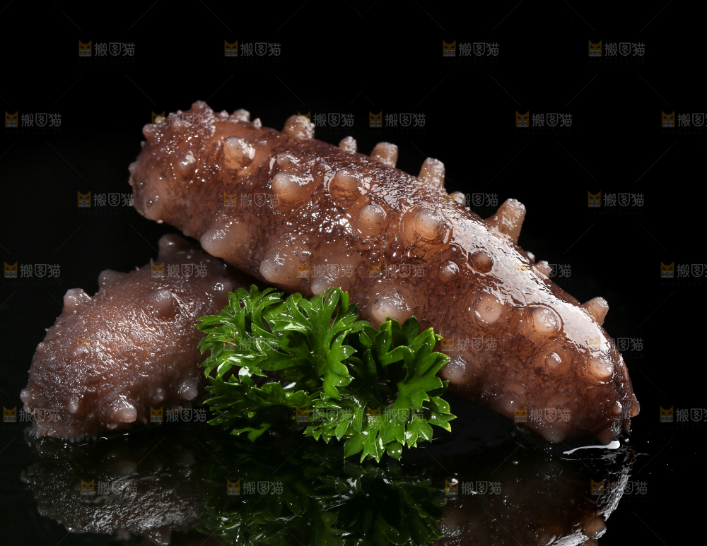 黑底上的海参