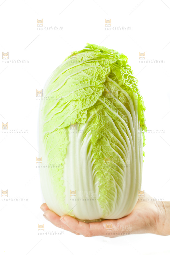 手拿大白菜
