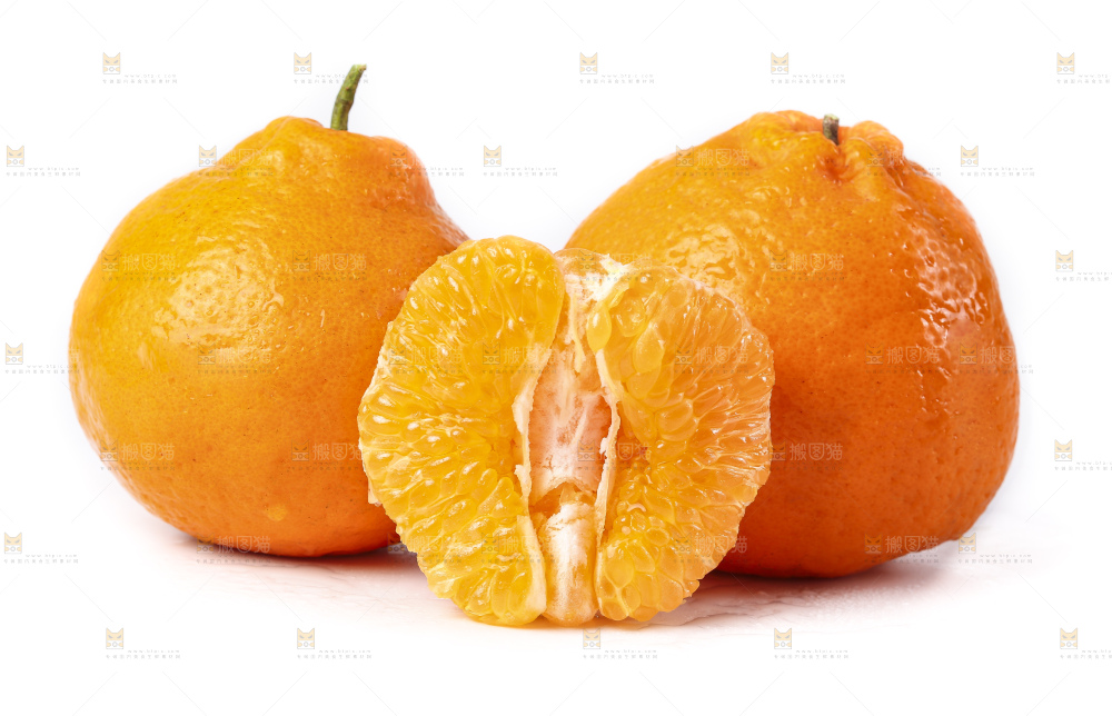 白底上的春见耙耙柑