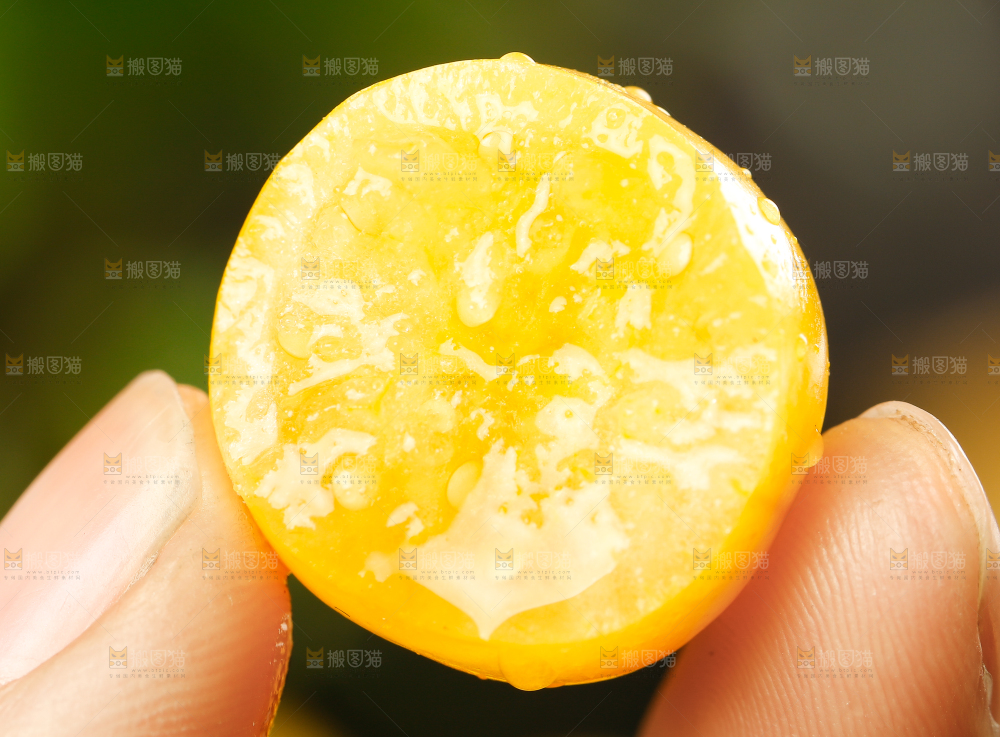 手里拿着灯笼果