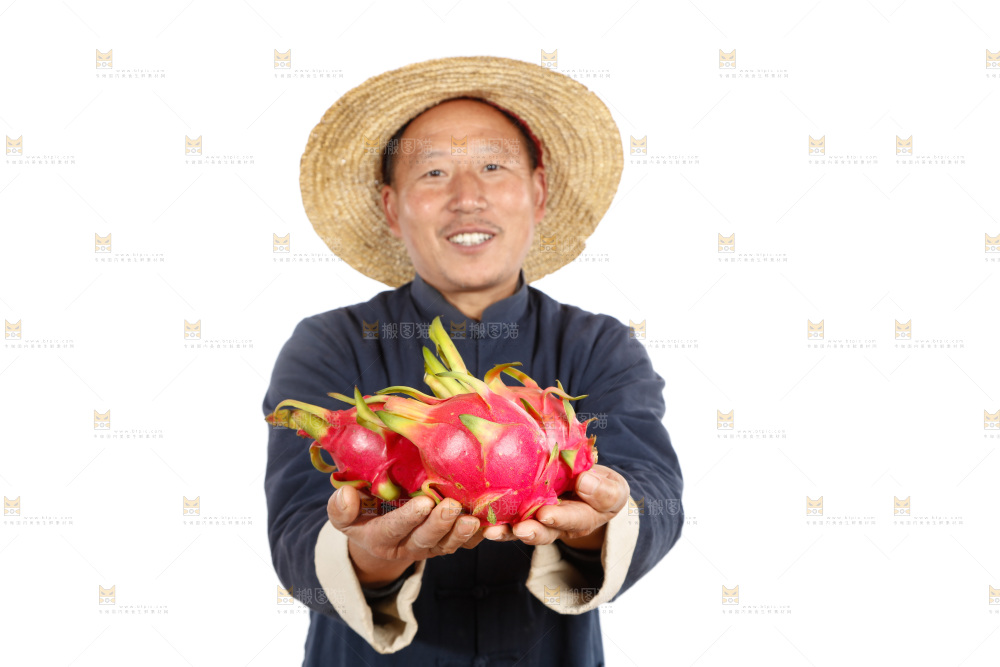 农民手里端着火龙果