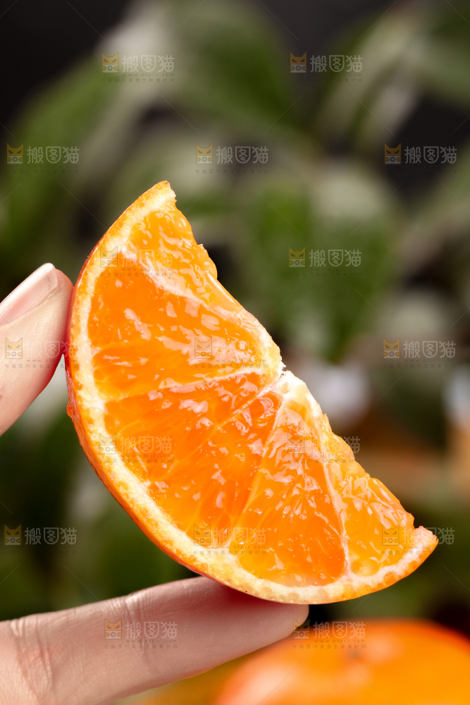 手拿切开的沃柑