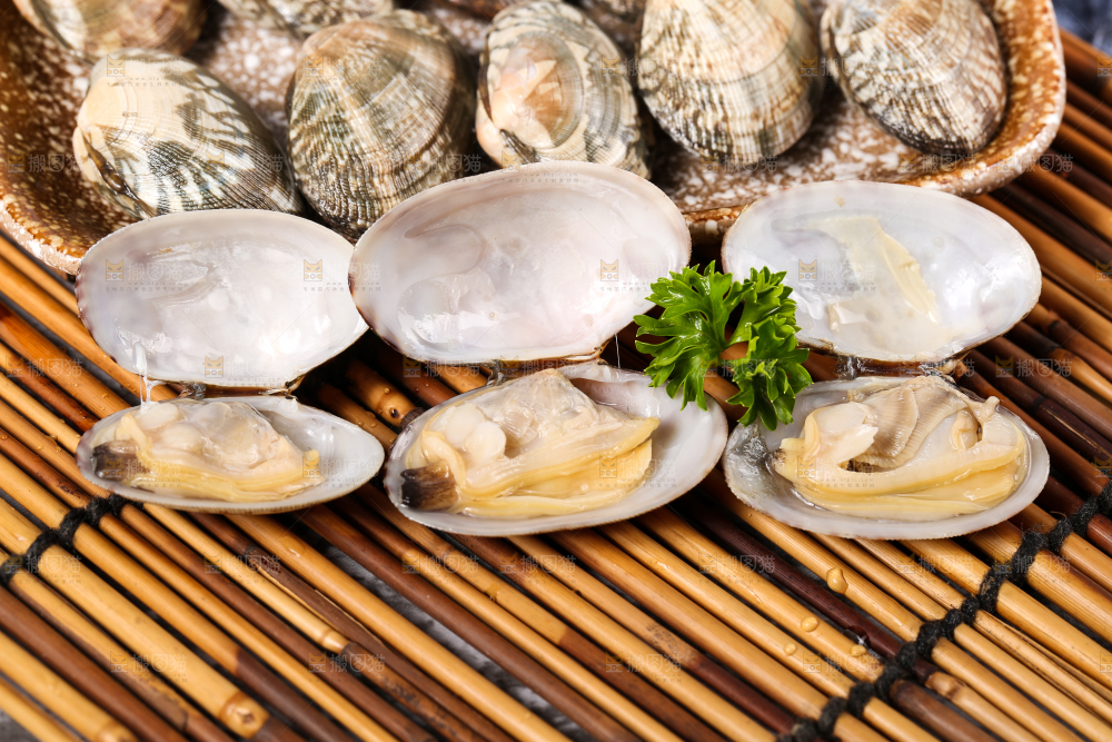 木底上张开的花甲