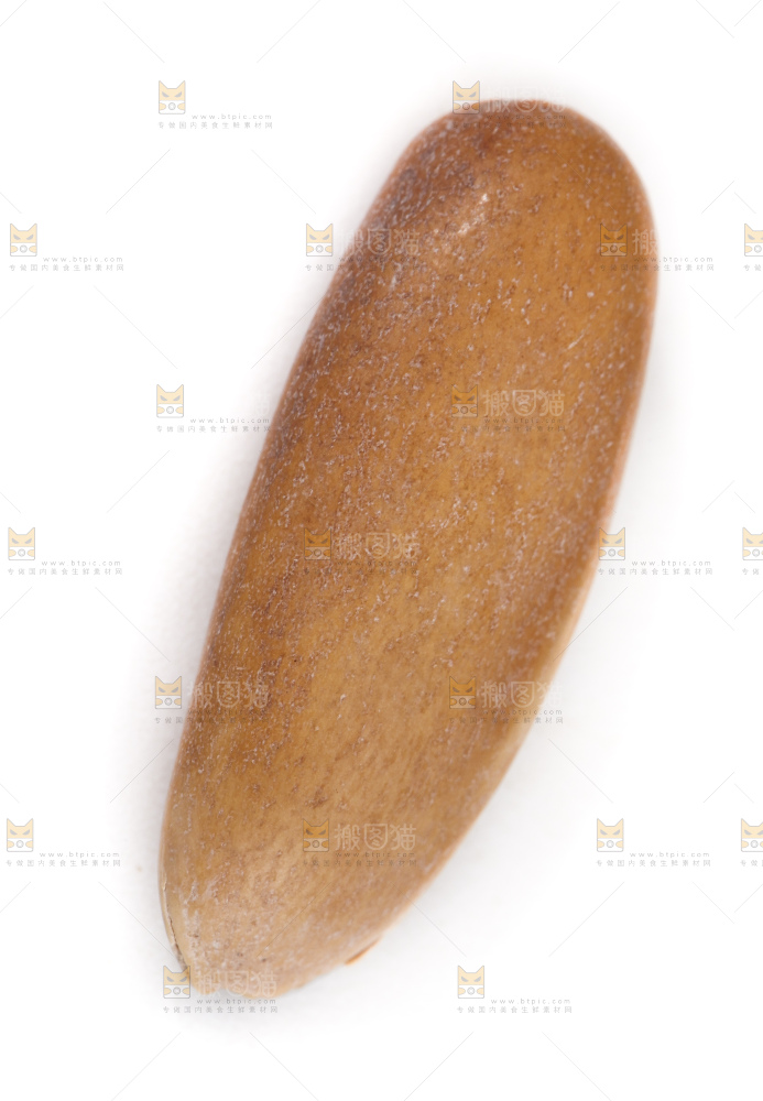 白底上放着松子