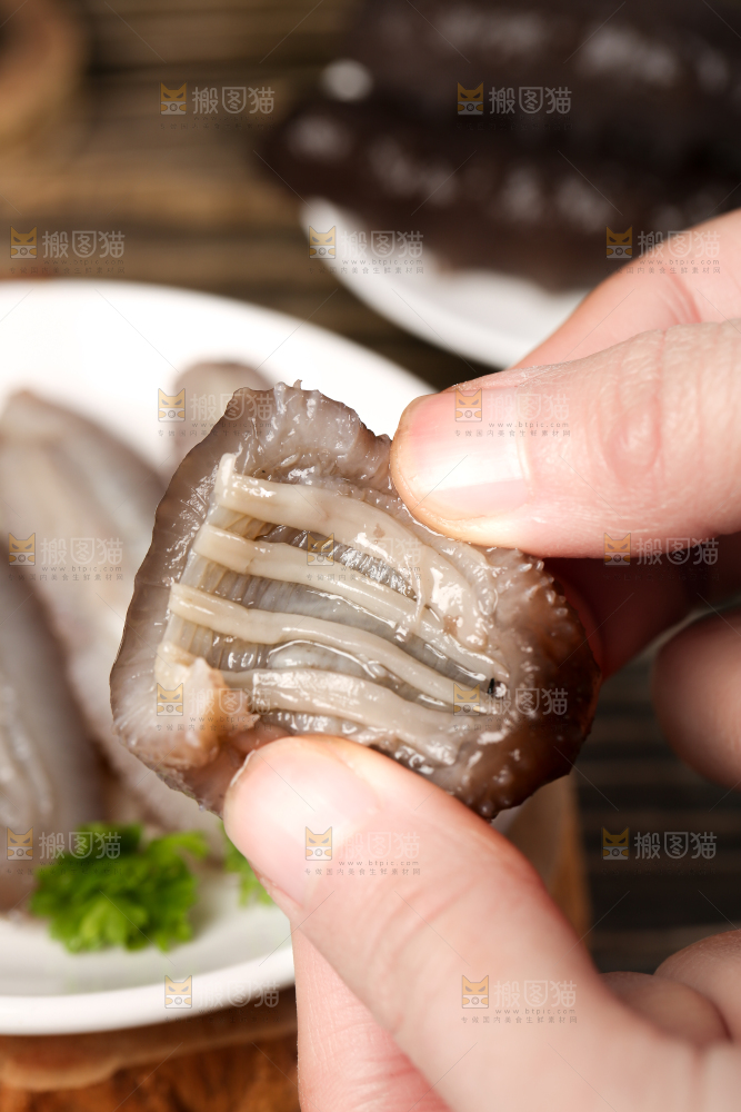 手拿海参