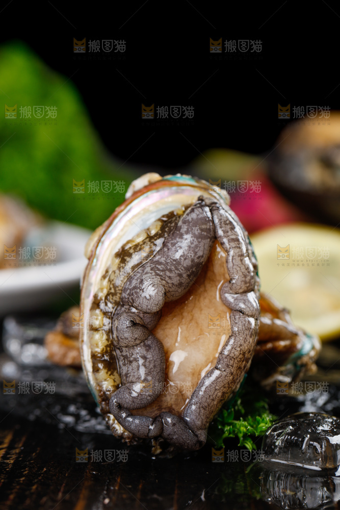 黑石板上的大鲍鱼