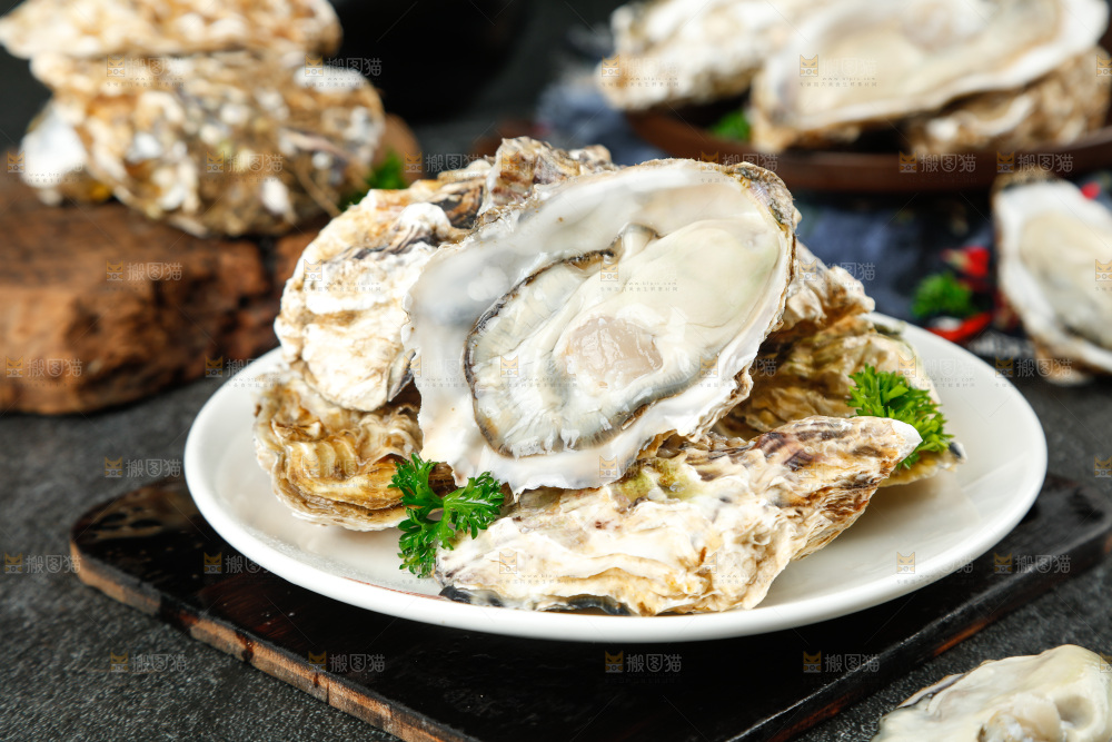 黑底上放着一盘乳山生蚝