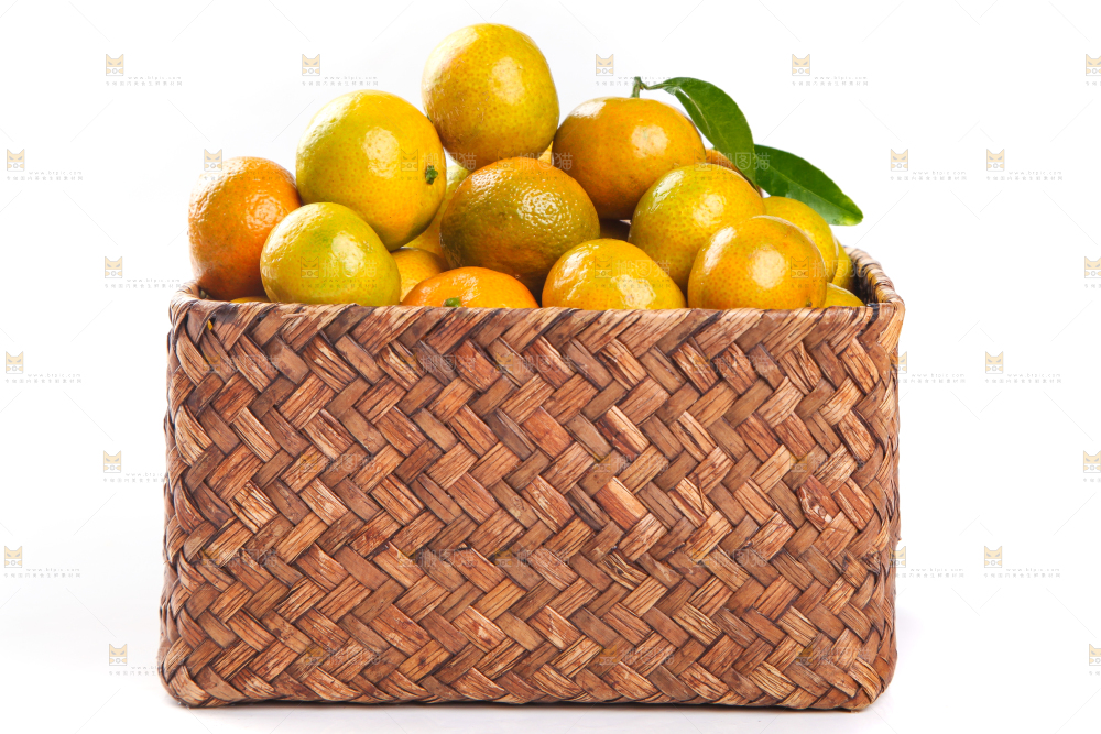 一筐清香蜜橘放在白底上