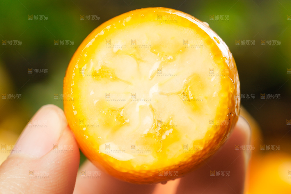 手里拿着小金桔