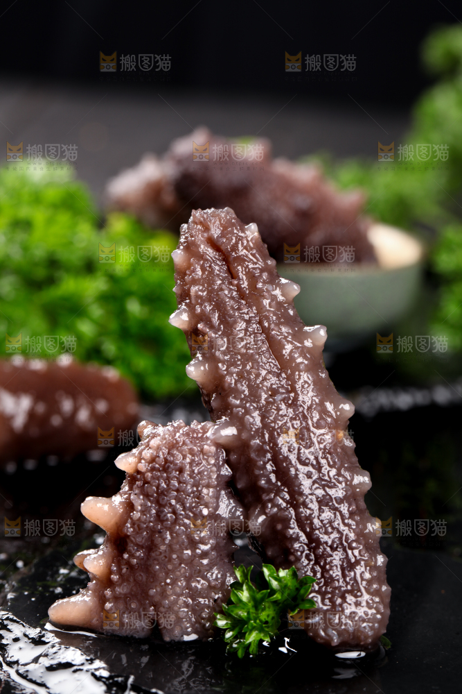 黑石板上的海参