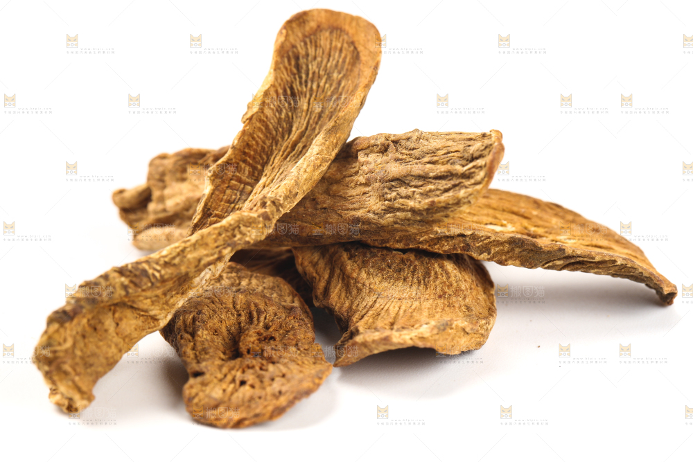 白底上摆放着牛蒡