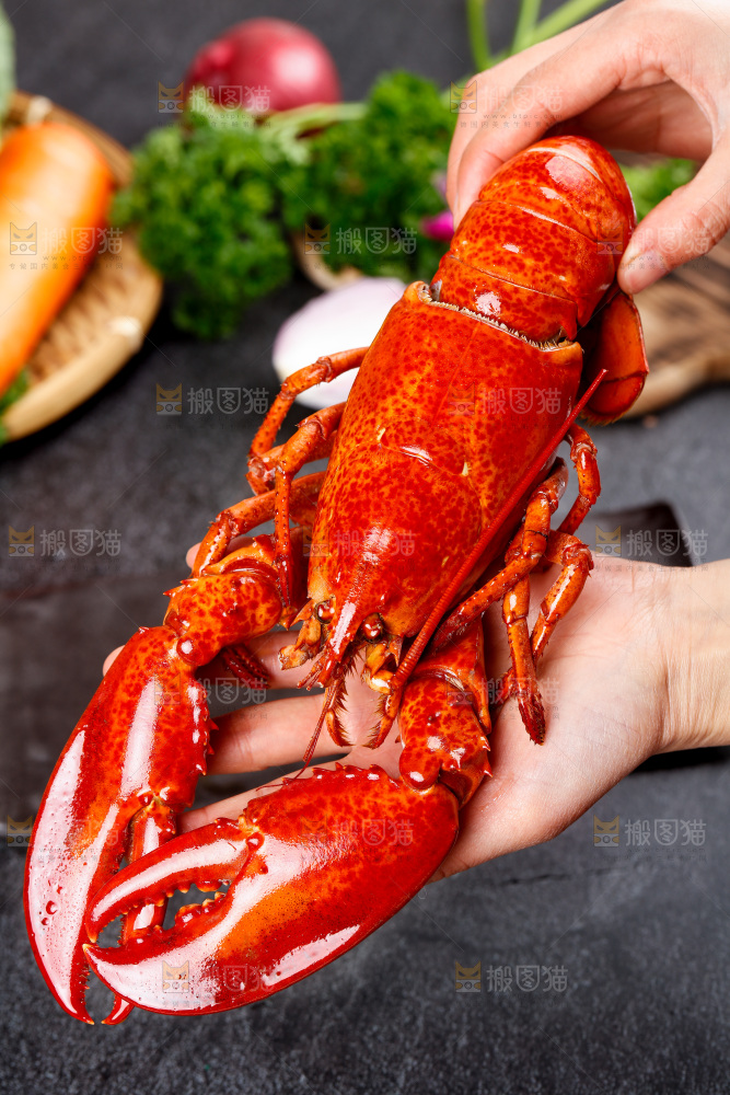 手里拿着大龙虾