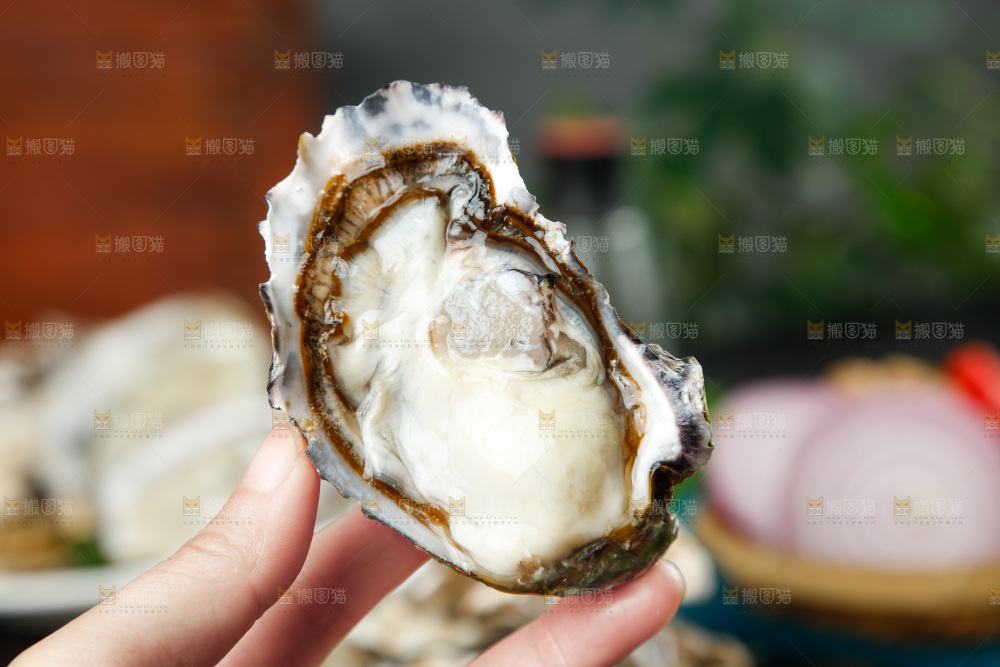 手拿剥开的生蚝