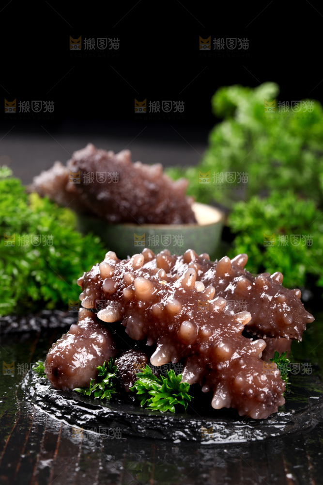 黑石板上的淡干海参