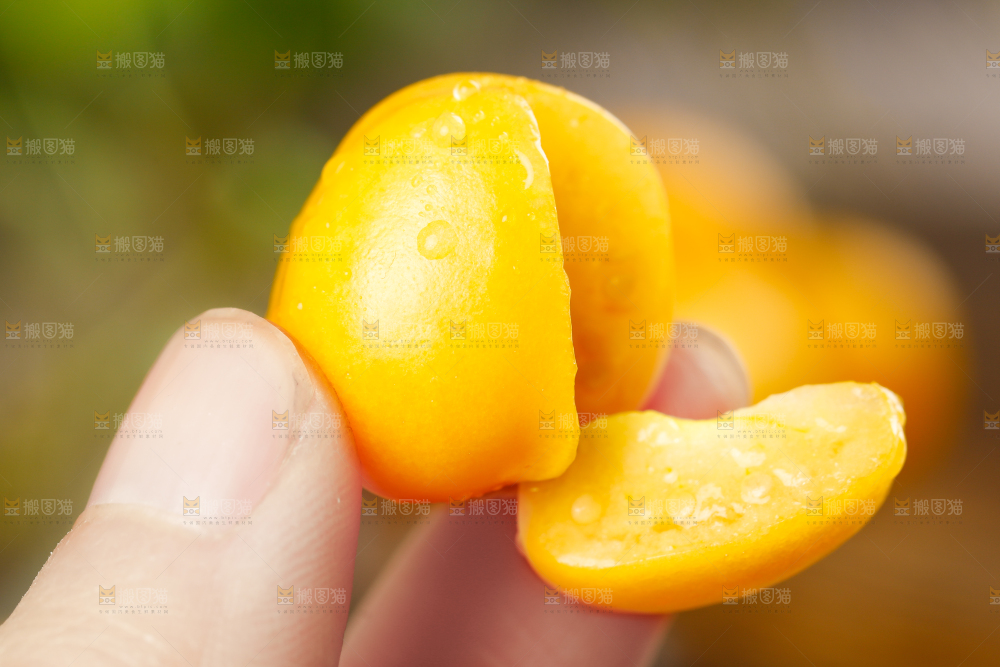 手里拿着灯笼果
