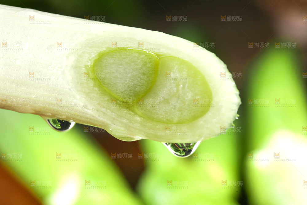 木板上放着切段的大葱