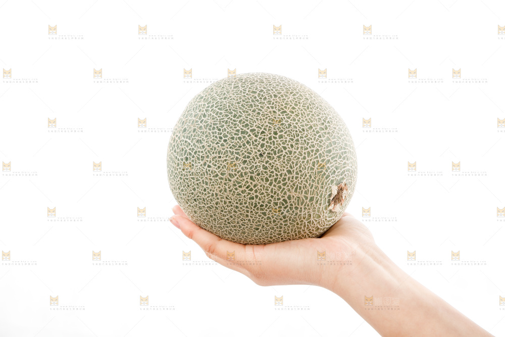 手里捧着哈蜜瓜