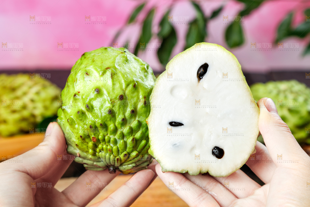 手里拿着牛奶释迦果