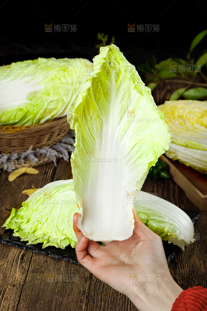 手拿大白菜叶