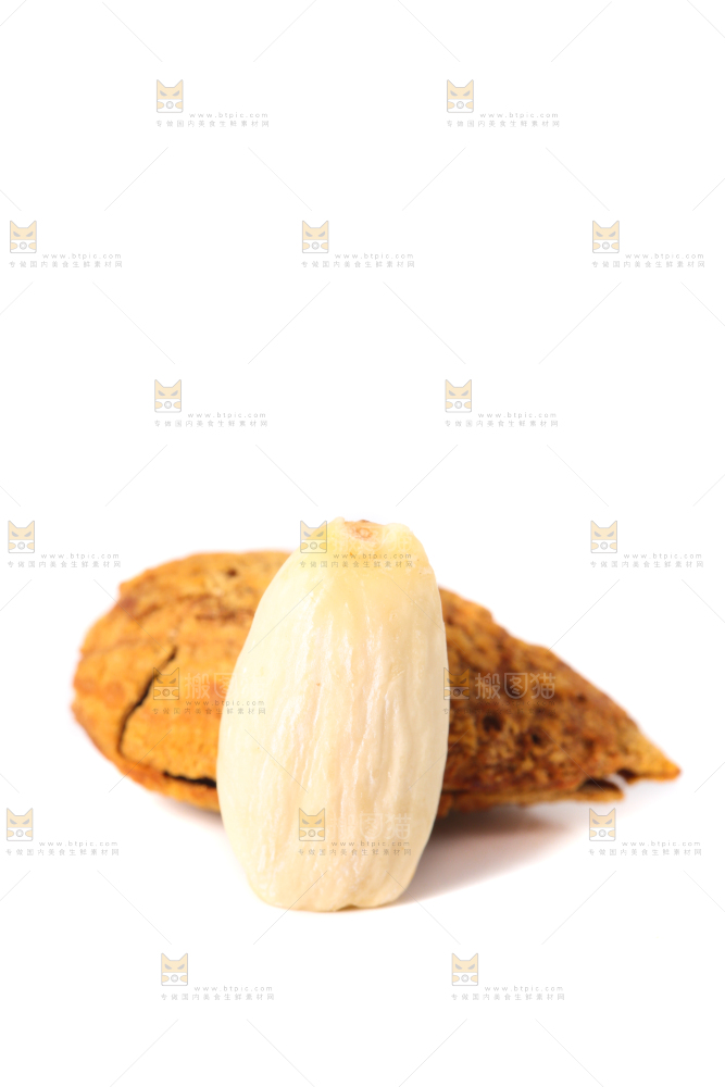 剥壳的扁桃仁放在白底上