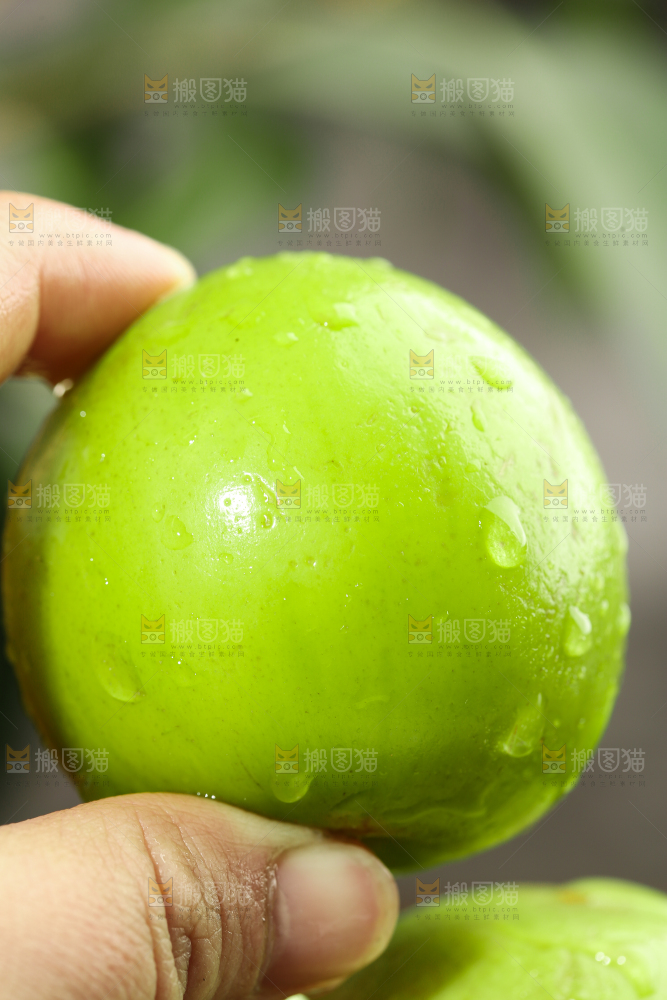 手拿牛奶大青枣