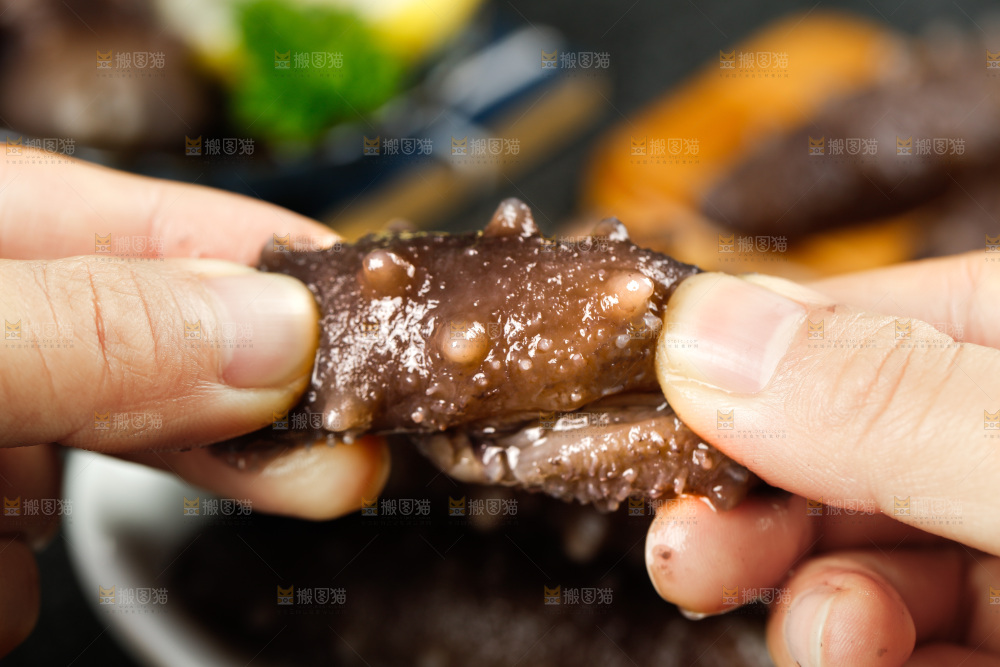 手拿海参