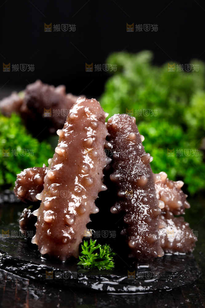 黑石板上的淡干海参