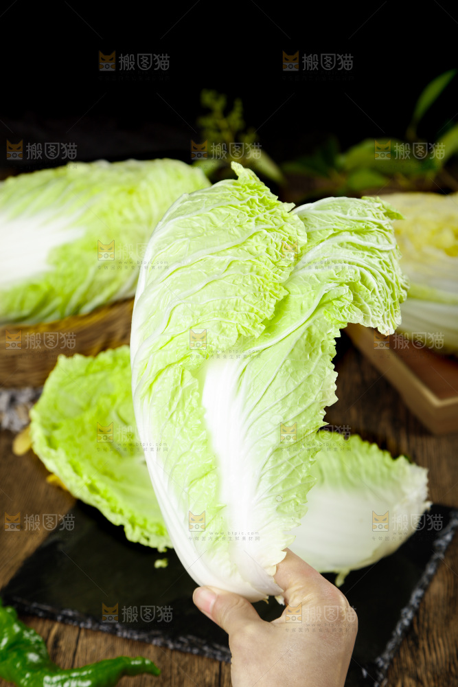 手拿大白菜叶