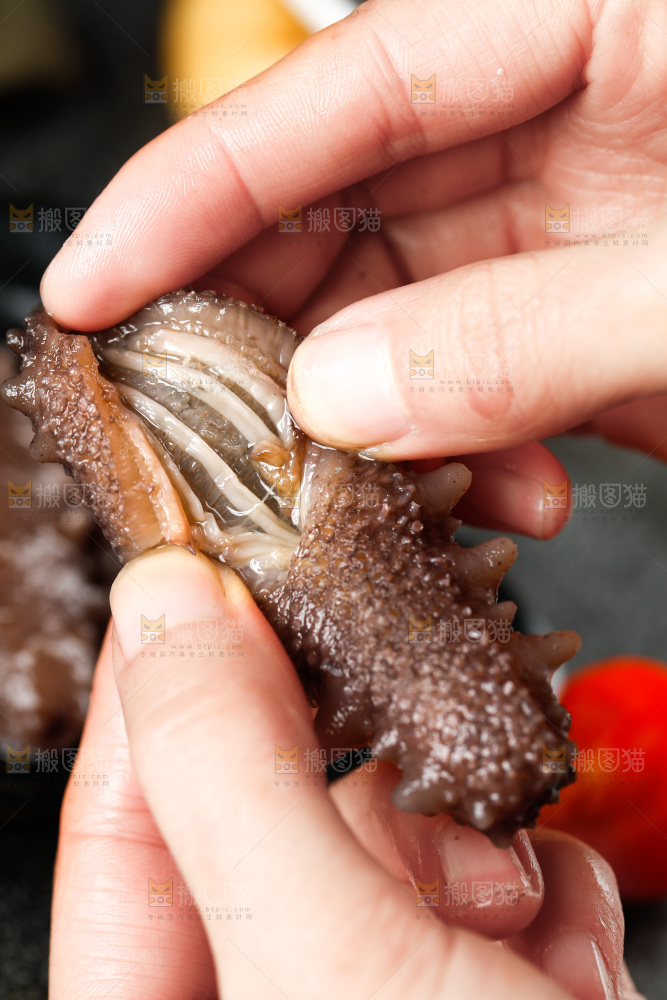 手拿海参
