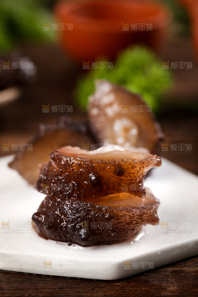 石板上的海参