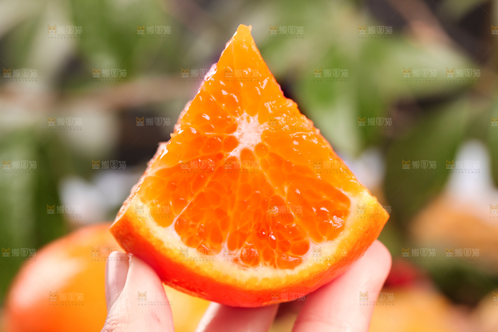 手拿切开的沃柑