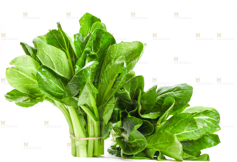 白底上放着菜苔