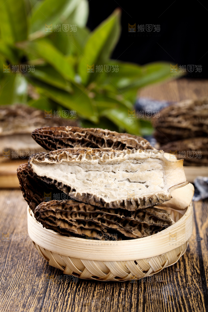 篮子里放着羊肚菌
