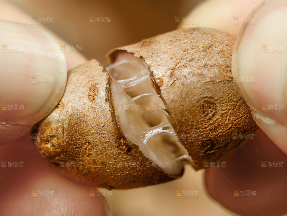 手里拿着山药豆