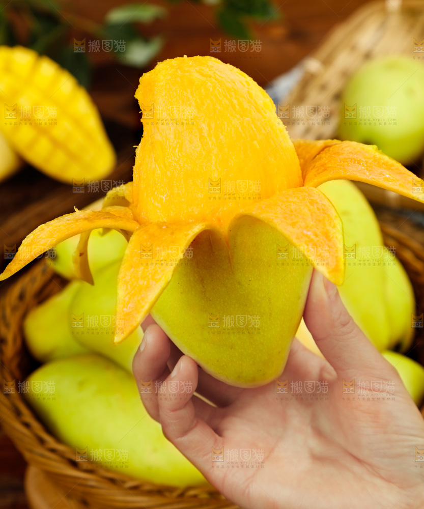 手里拿着芒果